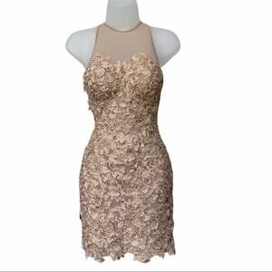 BASIX BLACK LABEL Women's Cream Floral Embroidered Lace Bodycon Dress